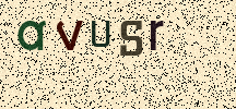 Visual Confirmation Security Code